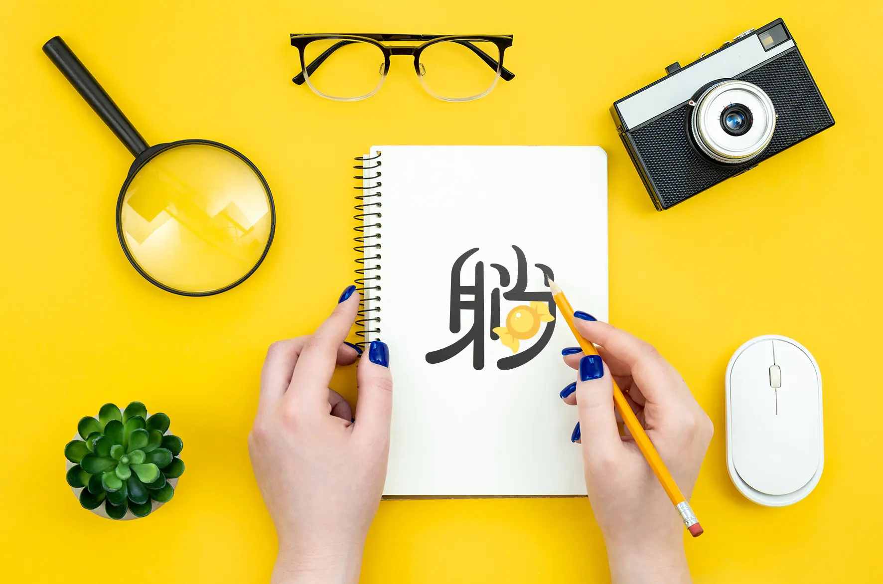 關於躺糖介紹